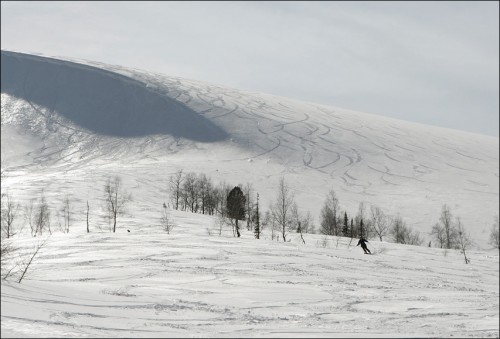Приирайд